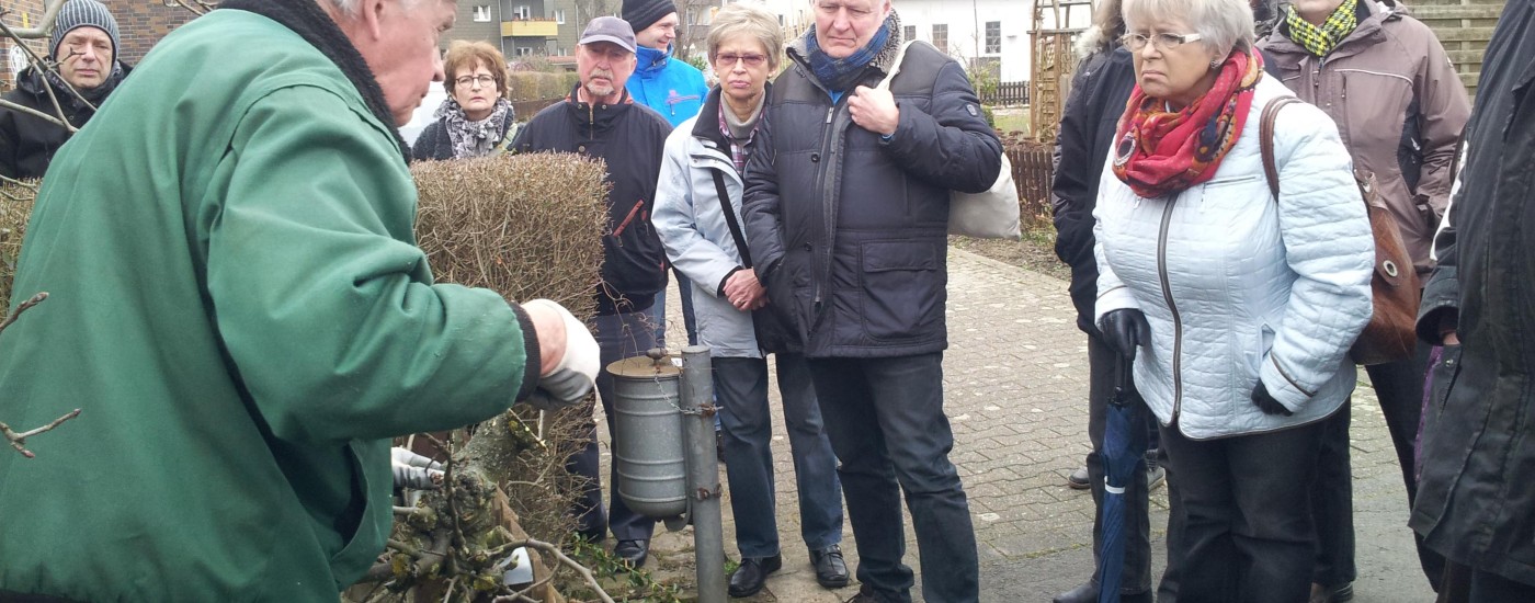 Obstbaumschnitt 2015