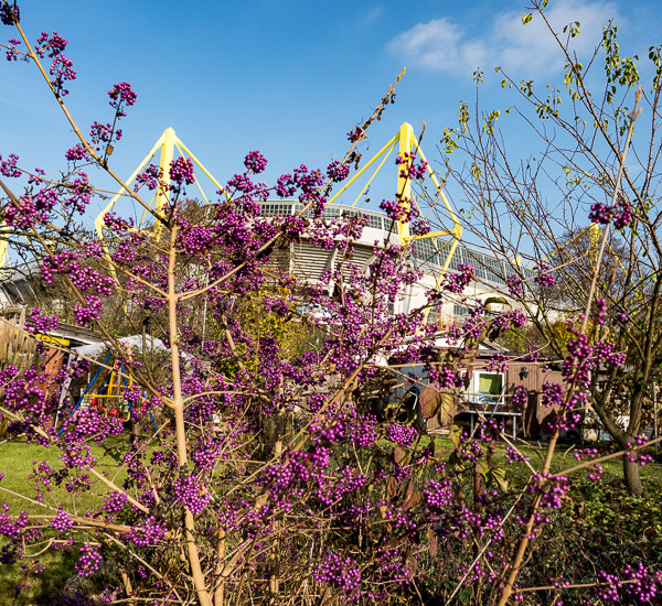 Herbstwanderung 2016